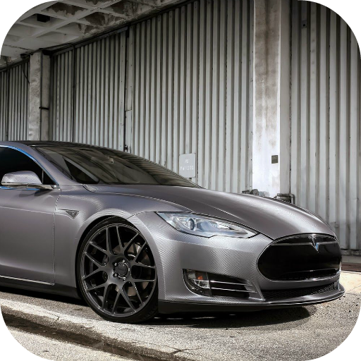 Drive Tesla Model S P100D Eco City icon