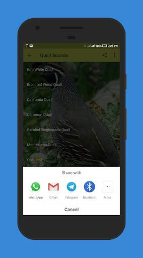 Quail Sounds screenshot 5