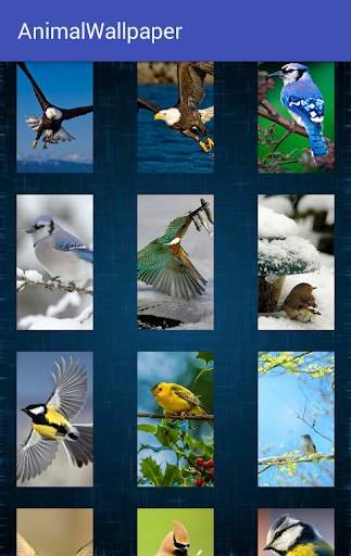 Animal Wallpaper screenshot 16