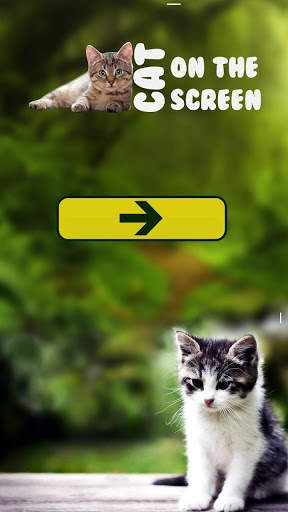 Funny Cat Walks On Screen - Cute Animation screenshot 1