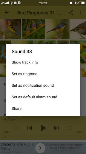Top Bird Ringtones screenshot 4