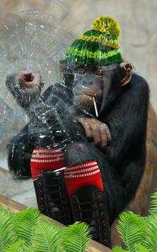 Bad Talking Monkey 7 تصوير الشاشة