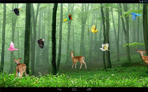 Rain Forest Live Wallpaper screenshot 7