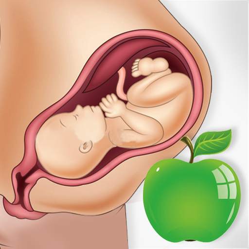 Pregnancy Tips Diet Nutrition 5.1