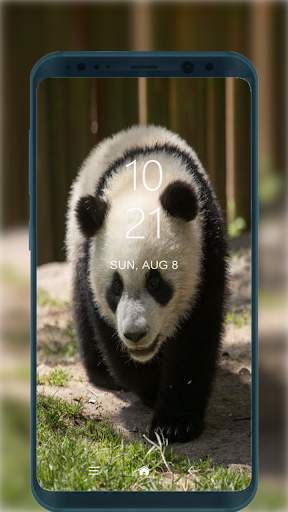 Cute Panda Wallpapers HD for Android screenshot 4