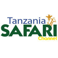 Tanzania Safari Channel