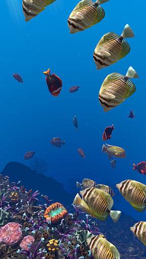 OCEAN AQUARIUM Live Wallpaper FREE screenshot 5