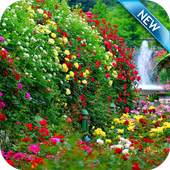 Garden Wallpaper 1.0
