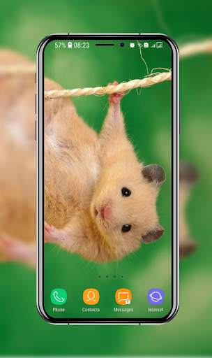Cute Hamster Wallpaper screenshot 1