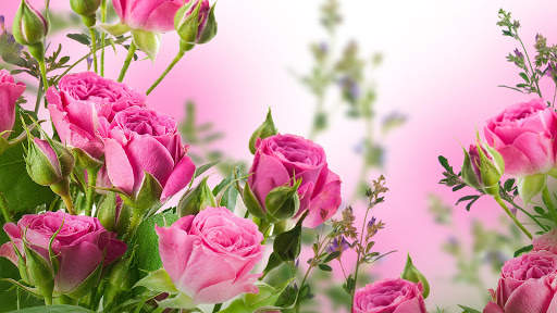 Flowers Wallpapers screenshot 8