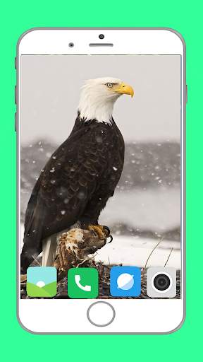 Predator Birds Full HD Wallpaper скриншот 6