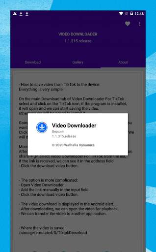 Social Video Downloader screenshot 5
