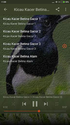 Suara Burung Kacer Betina Gacor screenshot 3