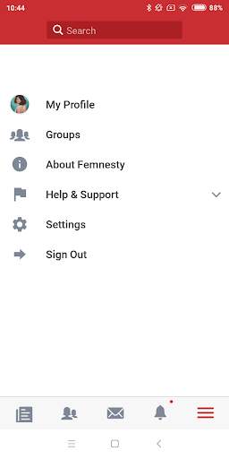 Femnesty screenshot 7