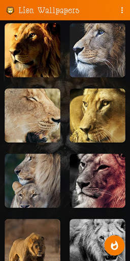 🦁 Lion Wallpaper : Wild King Backgrounds screenshot 9