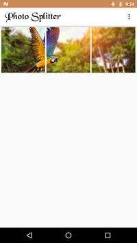 Photo Splitter screenshot 8