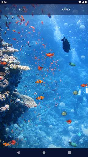 Ocean Fish Live Wallpaper 4K screenshot 6