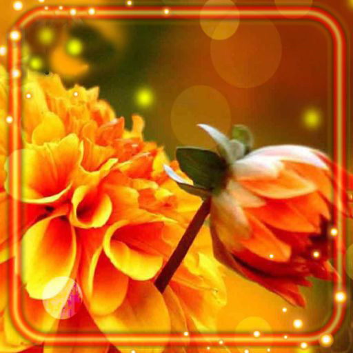 Autumn Flowers Live Wallpaper icon