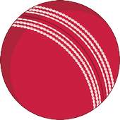 Cricket Scorer 1.3