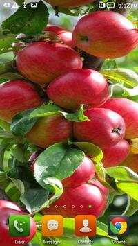 Red Apples Live Wallpaper screenshot 3