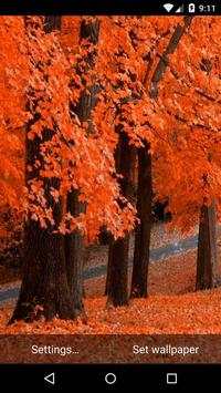 Autumn Live Wallpaper HD 5 تصوير الشاشة
