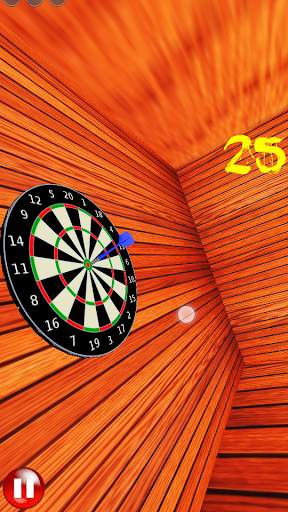 Darts   Photo screenshot 1