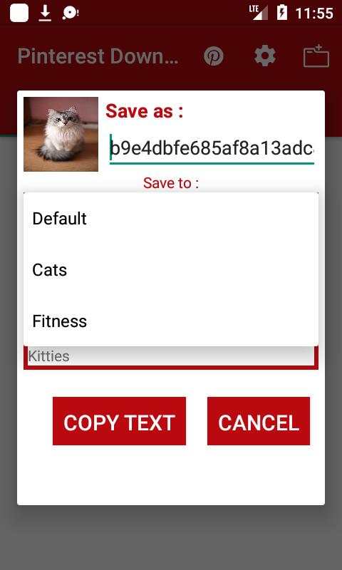 Downloader for Pinterest screenshot 3