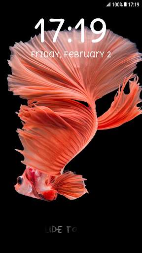 Betta Fish Pattern Lock Screen screenshot 8