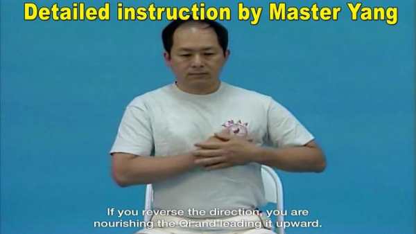 Qigong Massage: Self Massage screenshot 14