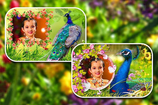 Peacock Photo Frames screenshot 9