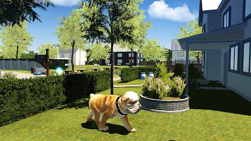 Bull Dog Simulator screenshot 16