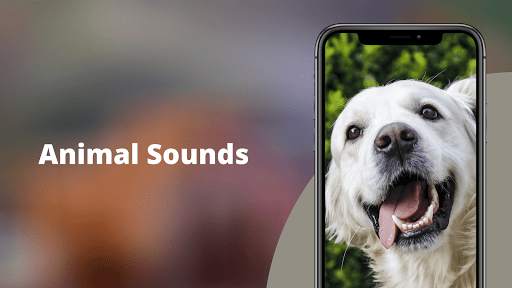 Animal Sounds screenshot 1