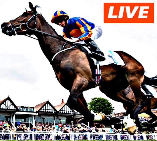 Watch Horse Racing Live Stream FREE screenshot 1
