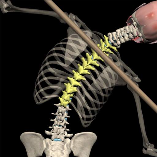 Posture by Muscle & Motion 2.5.3