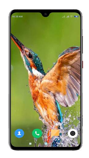 Bird Wallpaper 4K स्क्रीनशॉट 4