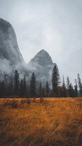 Nature Wallpaper screenshot 2