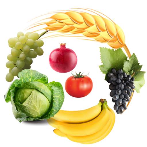 My Kisan. 0.0.31