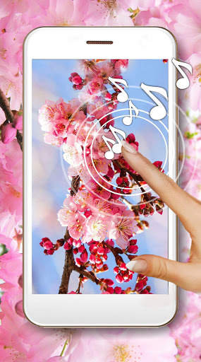 Cherry Sakura screenshot 1