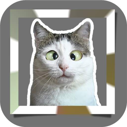 Funny Memes Sticker Whatapps 1.0