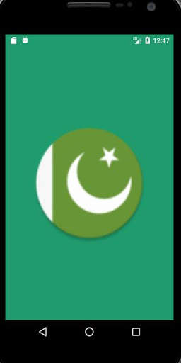 Pakistan Cricket screenshot 1