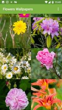 Flowers Wallpapers screenshot 1