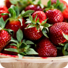 Fruits Wallpaper icon