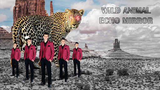 Echo Mirror : Best Mirror and background changer screenshot 4