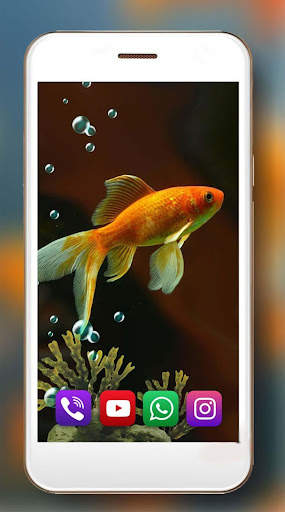 Aquarium Gold Fishes LWP 5 تصوير الشاشة