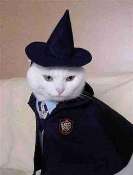 Funny Cats in Costume screenshot 1