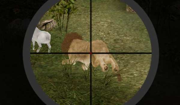 Sniper: Lion Village Attack screenshot 8