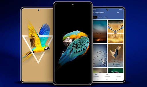 Bird Wallpaper screenshot 1