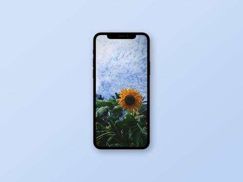 Sunflower Wallpaper screenshot 3
