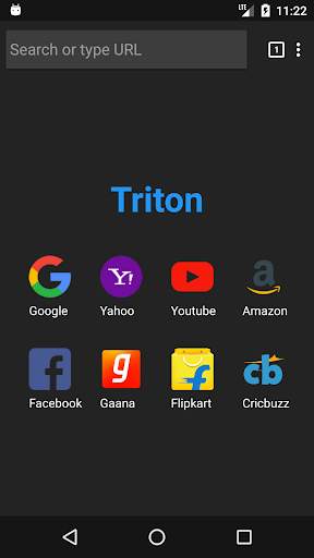 Triton - Mini Web Browser screenshot 4