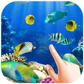 Water Garden Ripple Live Wallpaper 1.0